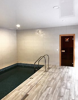 Закарпаття готель «Darino» басейн у бані